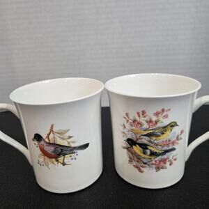 Queen's Rosina Fine Bone China Coffee Mugs Birds of America Series 1 Set of 2